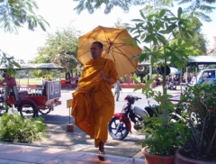 Монах в Пном Пене.