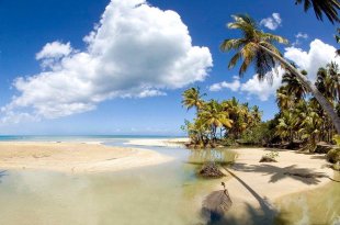 В Доминикану самостоятельно - означает иметь возможность побывать в тропиках, зарослях и во всевозможных диких местах