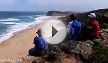 Про Австралию - Океан и Дикие пляжи - Great Ocean Walk